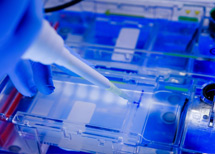 分子筛硅溶胶硅胶行业